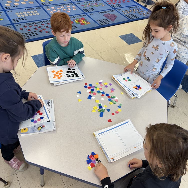 student sorting buttons