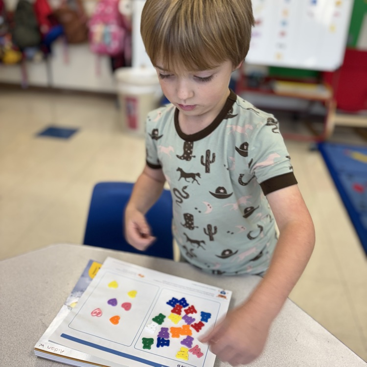 boy sorting buttons