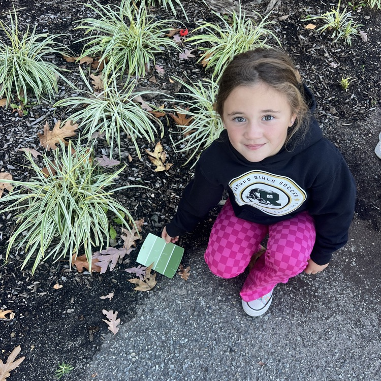 KR went outside with Mrs. Viaud to match colors in nature.