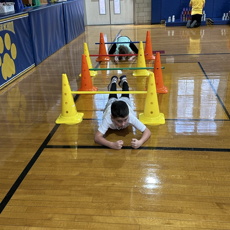 pe veterans day activity