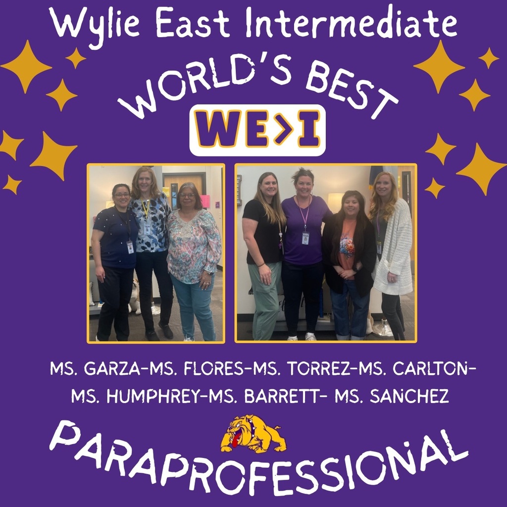Paraprofessional 