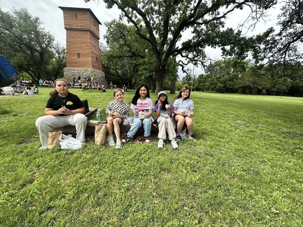 A group of students sit on a log enjoying lunch in a grassy park with a tall wooden tower and other students in the background.
