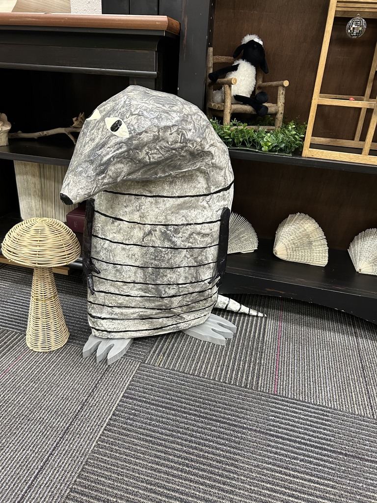 Mr. Armadillo