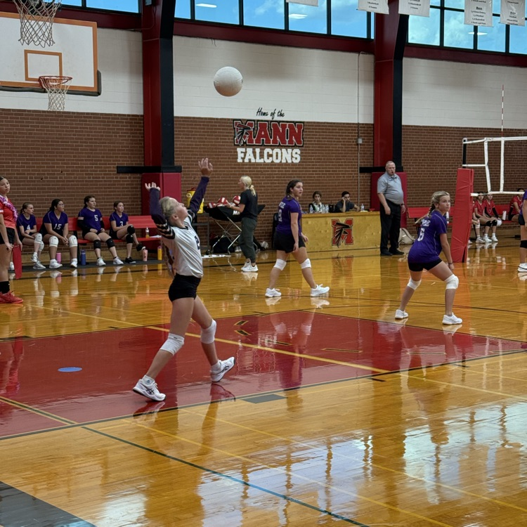 volleyball