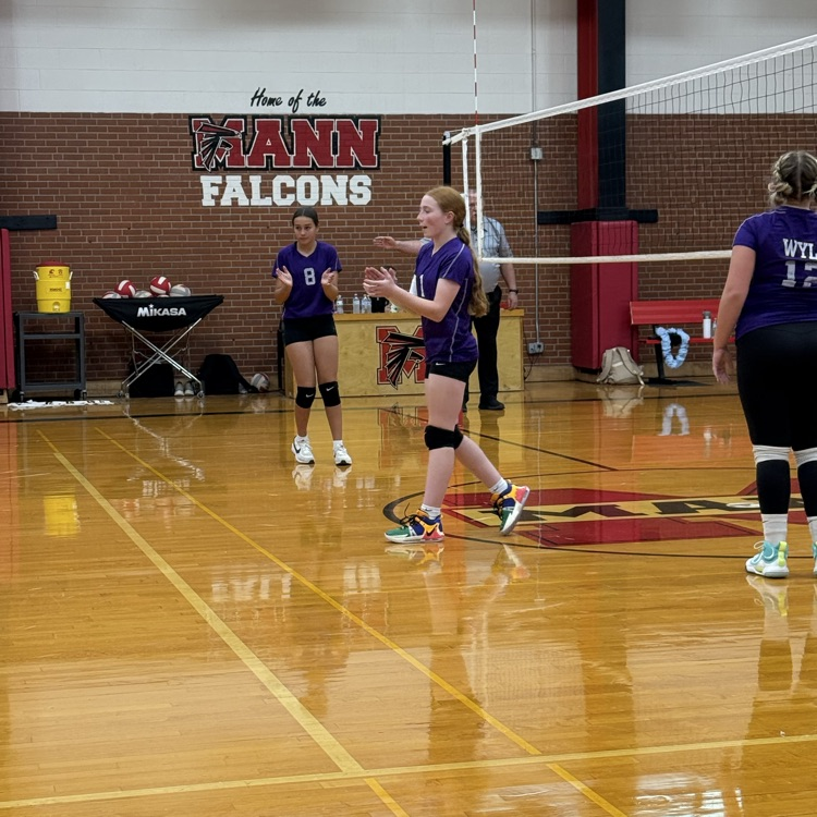 volleyball