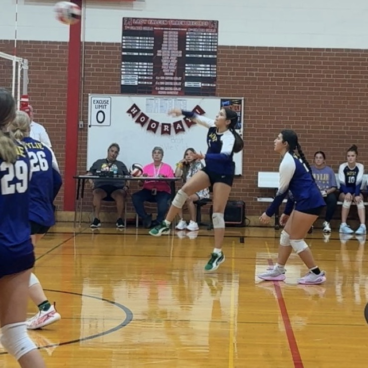 volleyball