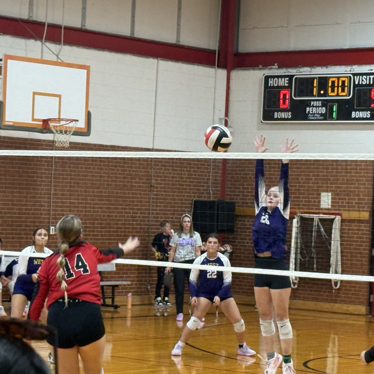volleyball