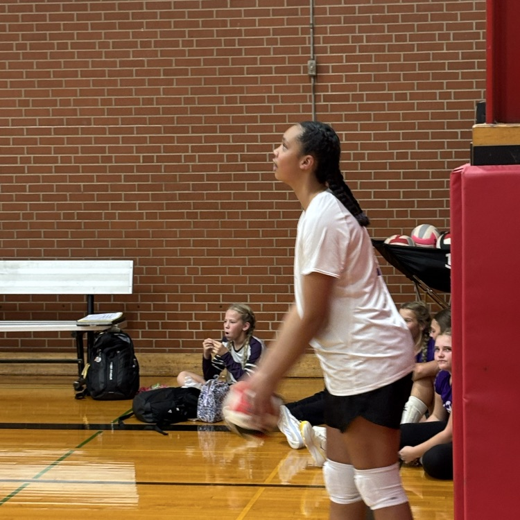 volleyball