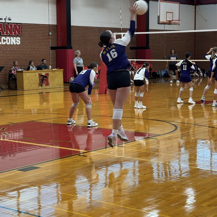 volleyball