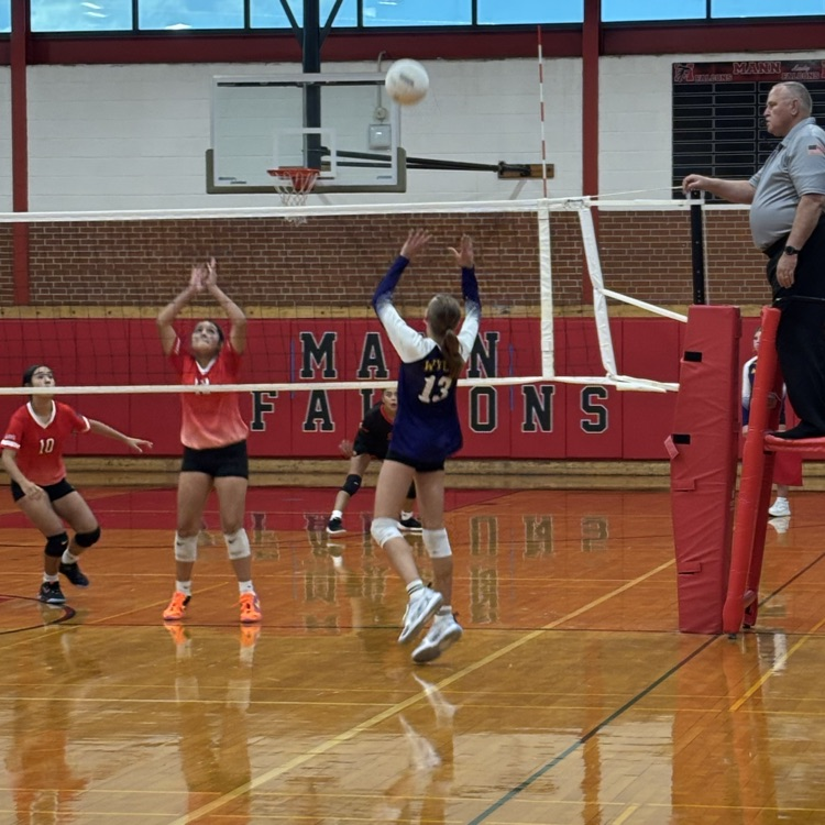 volleyball