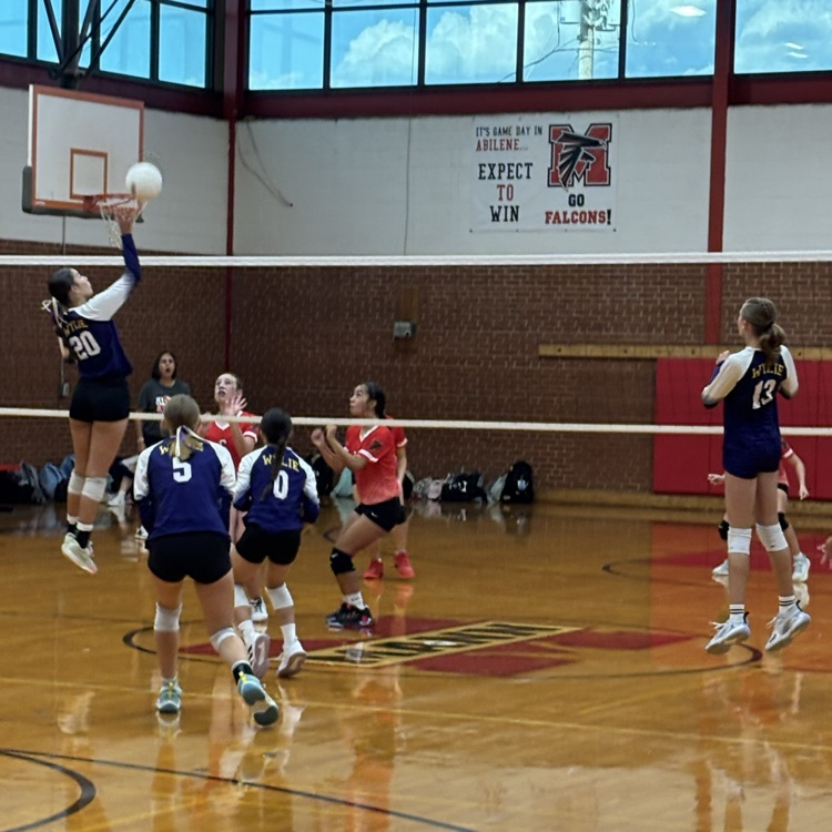 volleyball