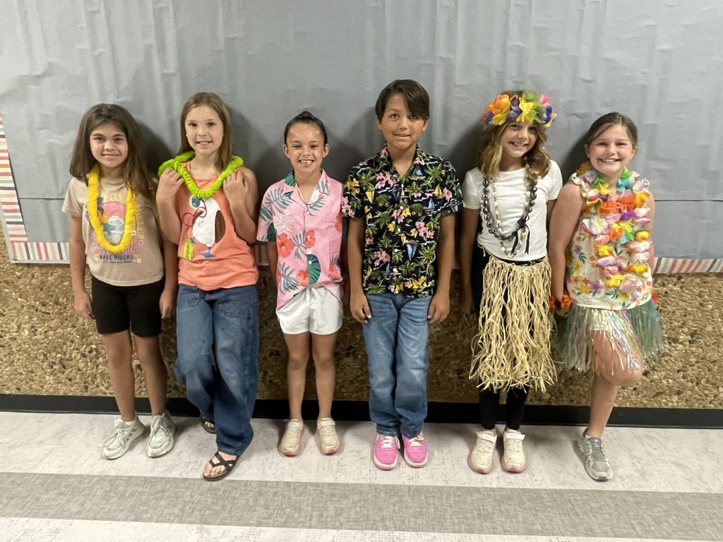 Hawaiian Luau