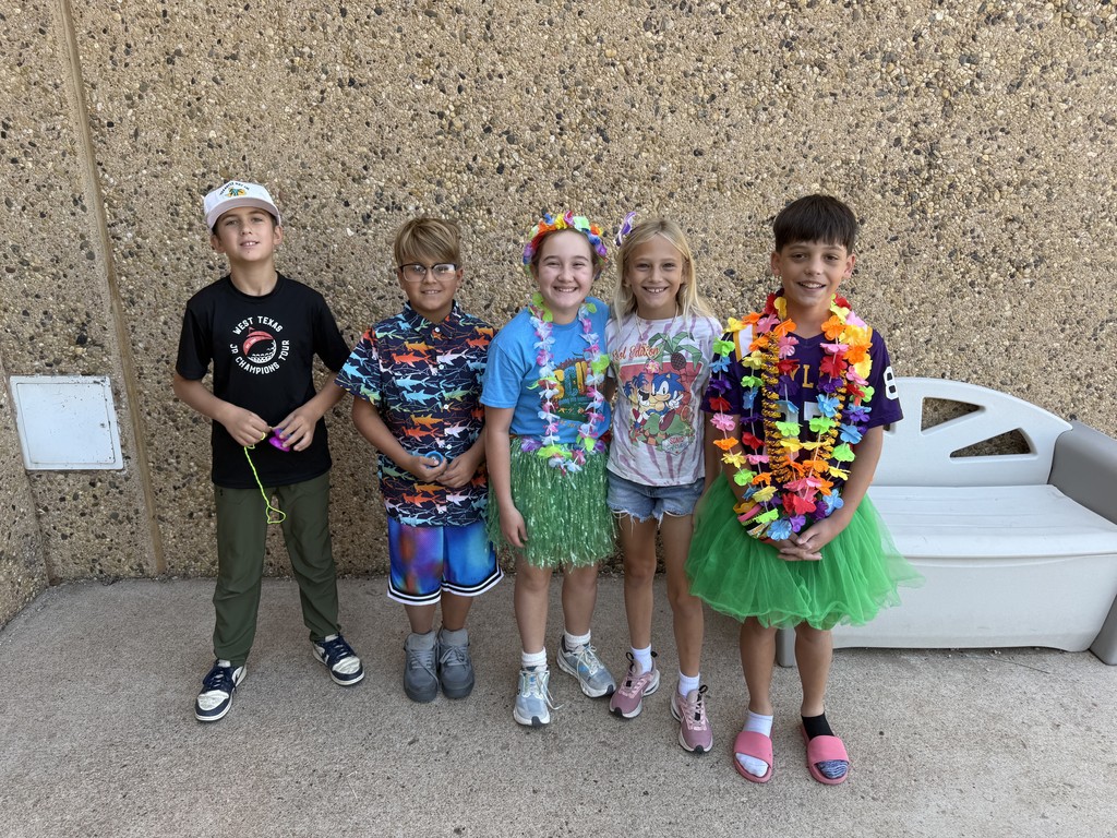 Hawaiian Luau