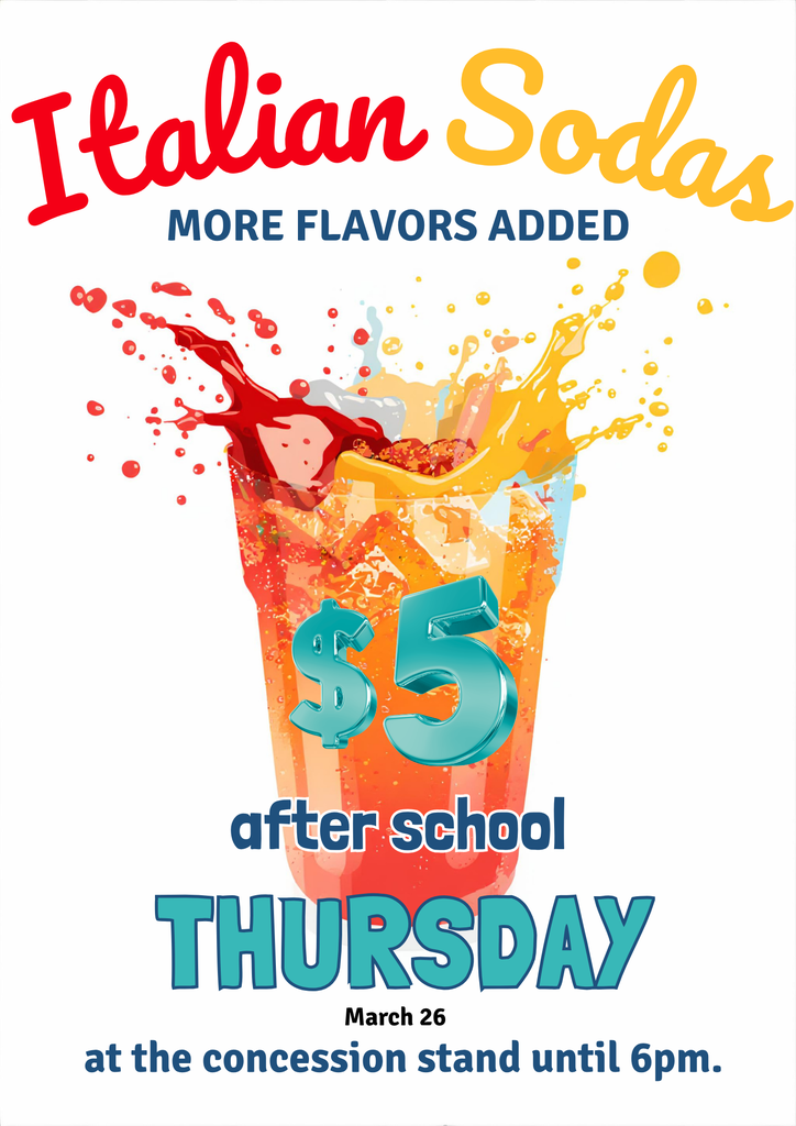 WPS Volleyball Fundraiser Event