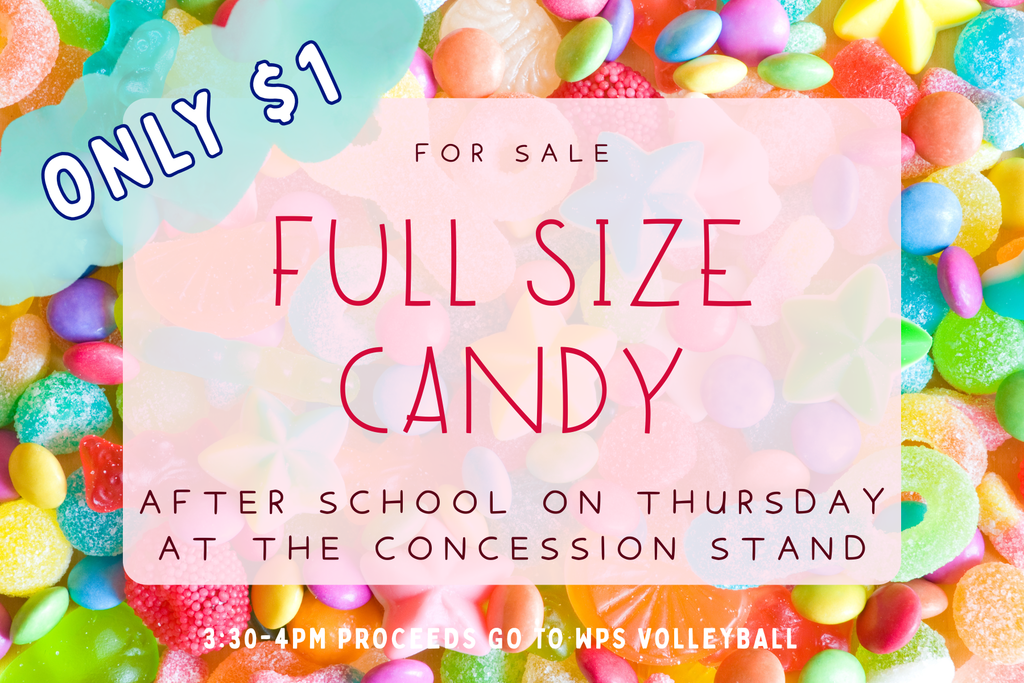 WPS Volleyball Fundraiser Event