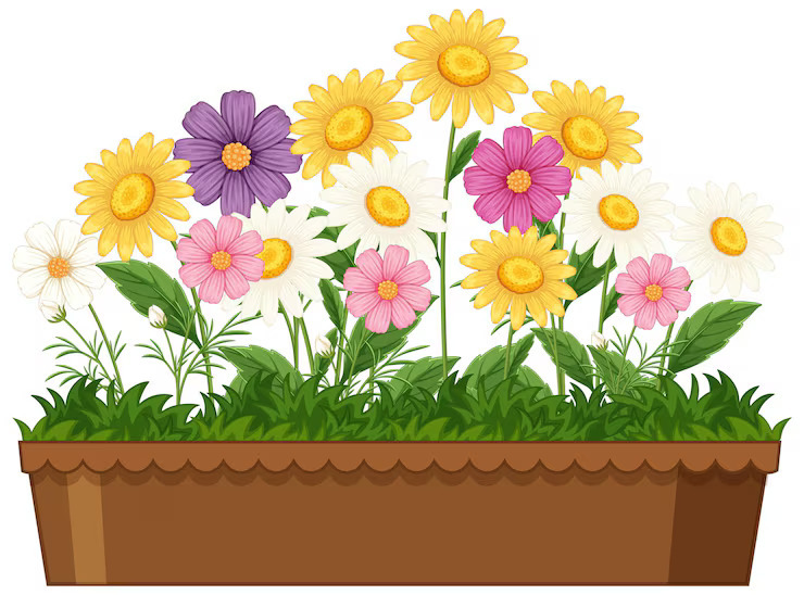 FFA Plant Sale