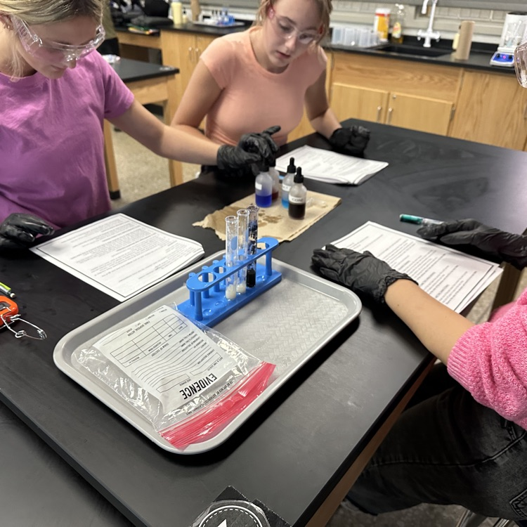 Students in Ms Outland’s biology class today were able to test an unknown sample to identify the macromolecules in their murder mystery lab!