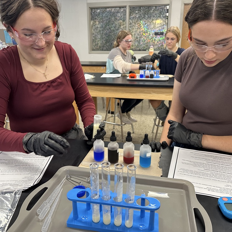 Students in Ms Outland’s biology class today were able to test an unknown sample to identify the macromolecules in their murder mystery lab!