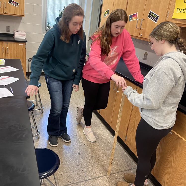 Law of Conservation of Energy Lab