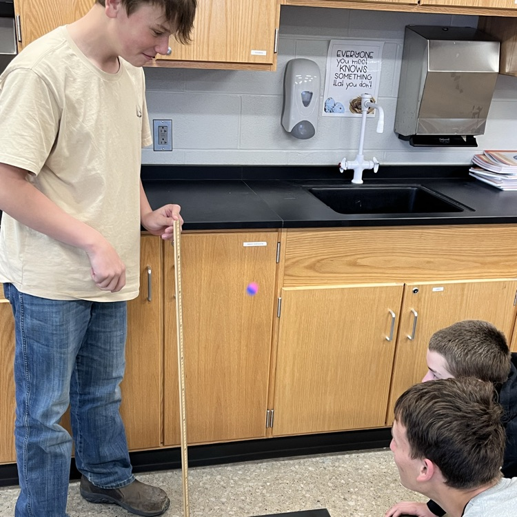 Law of Conservation of Energy Lab