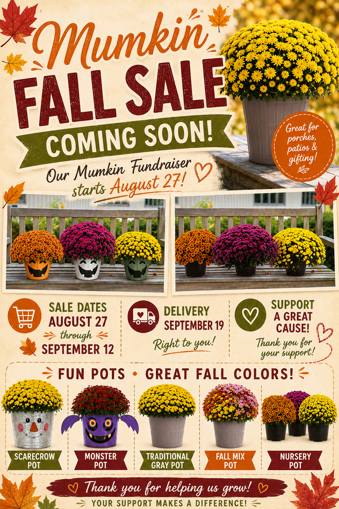 Mumkin Sale
