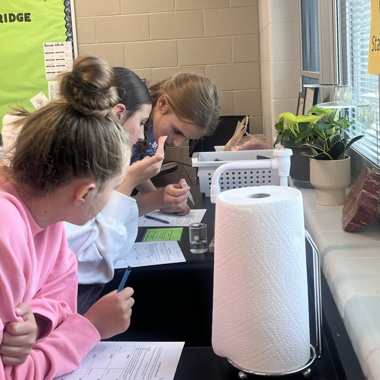 Physical science students perform their first lab of the year.