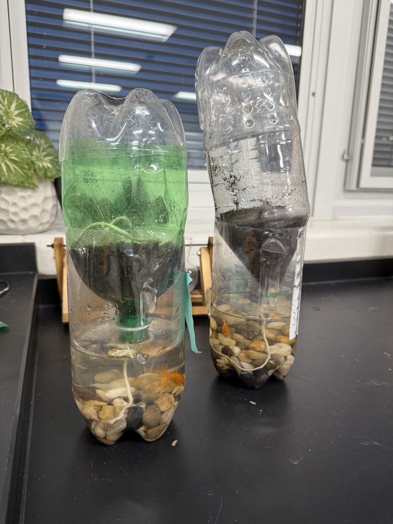 Making Aquatic Pods