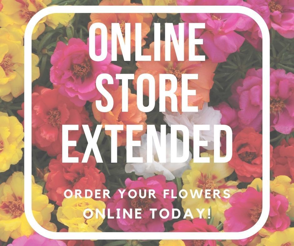 Online Store Extended