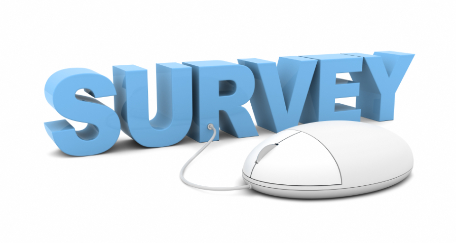 Online Survey