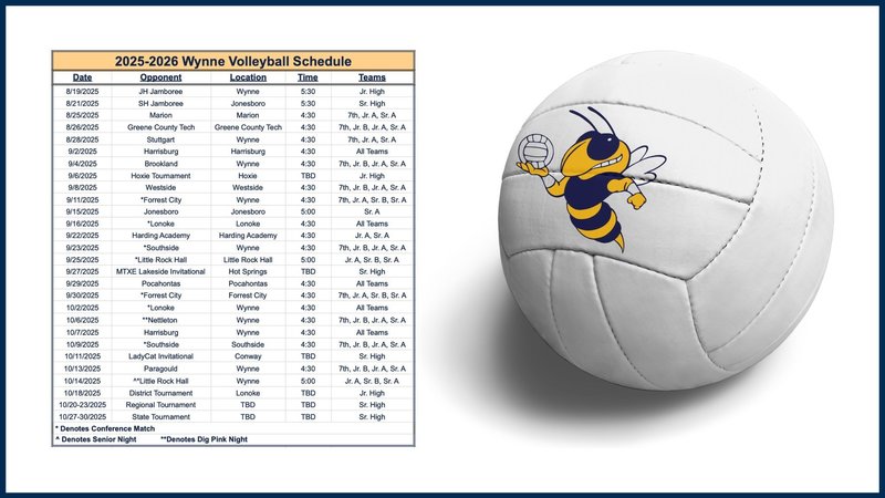 Volleyball