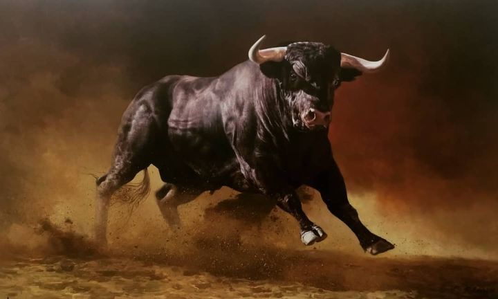 Bull