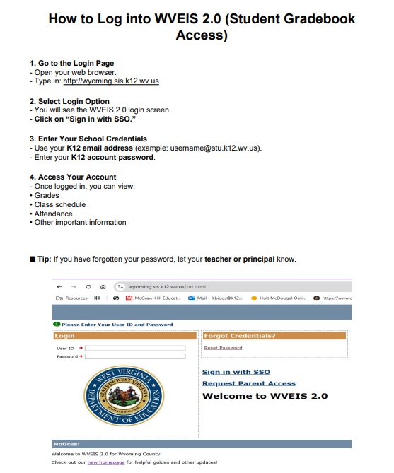 flyer