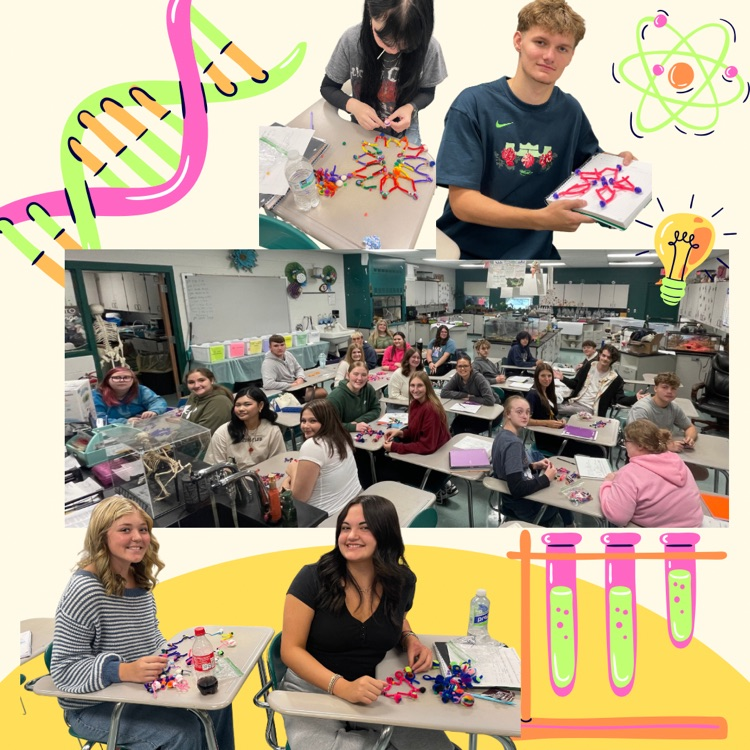 science picture collage 