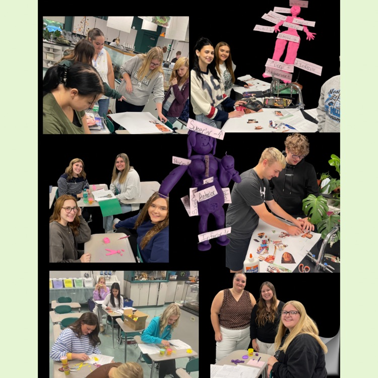 science picture collage 