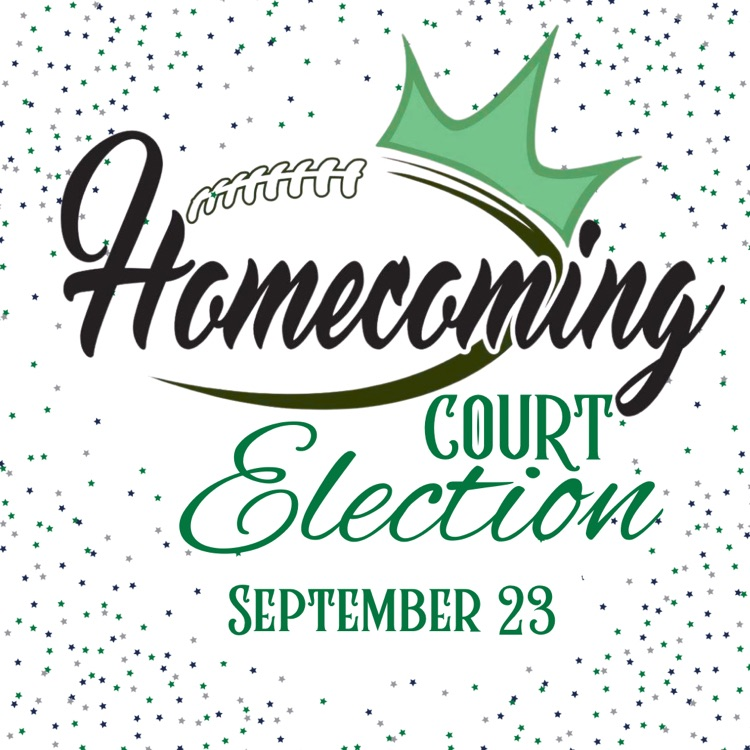 court elections
