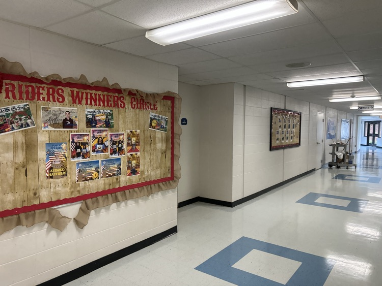 School floors and walls