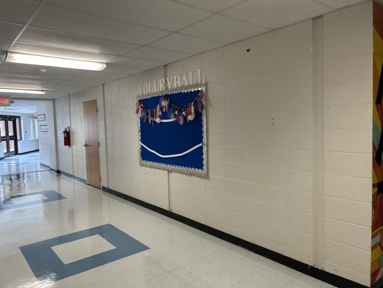 School floors and walls
