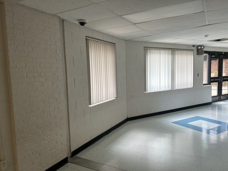 School floors and walls