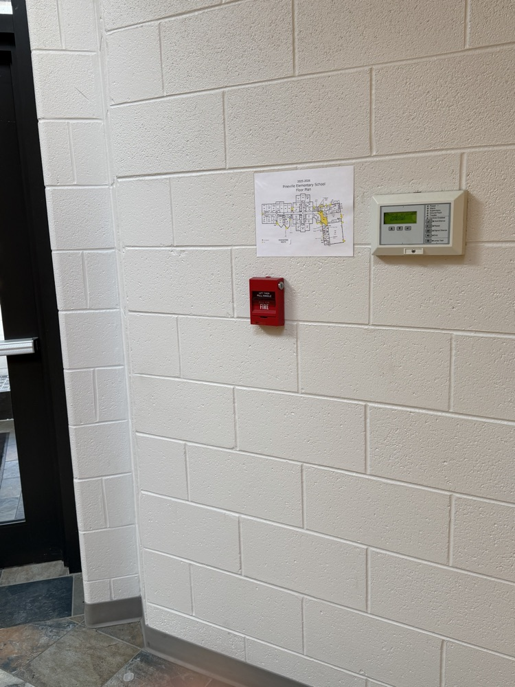 School wall
