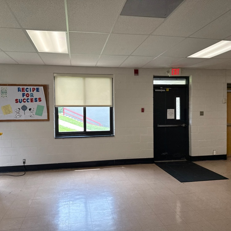 School floors and walls