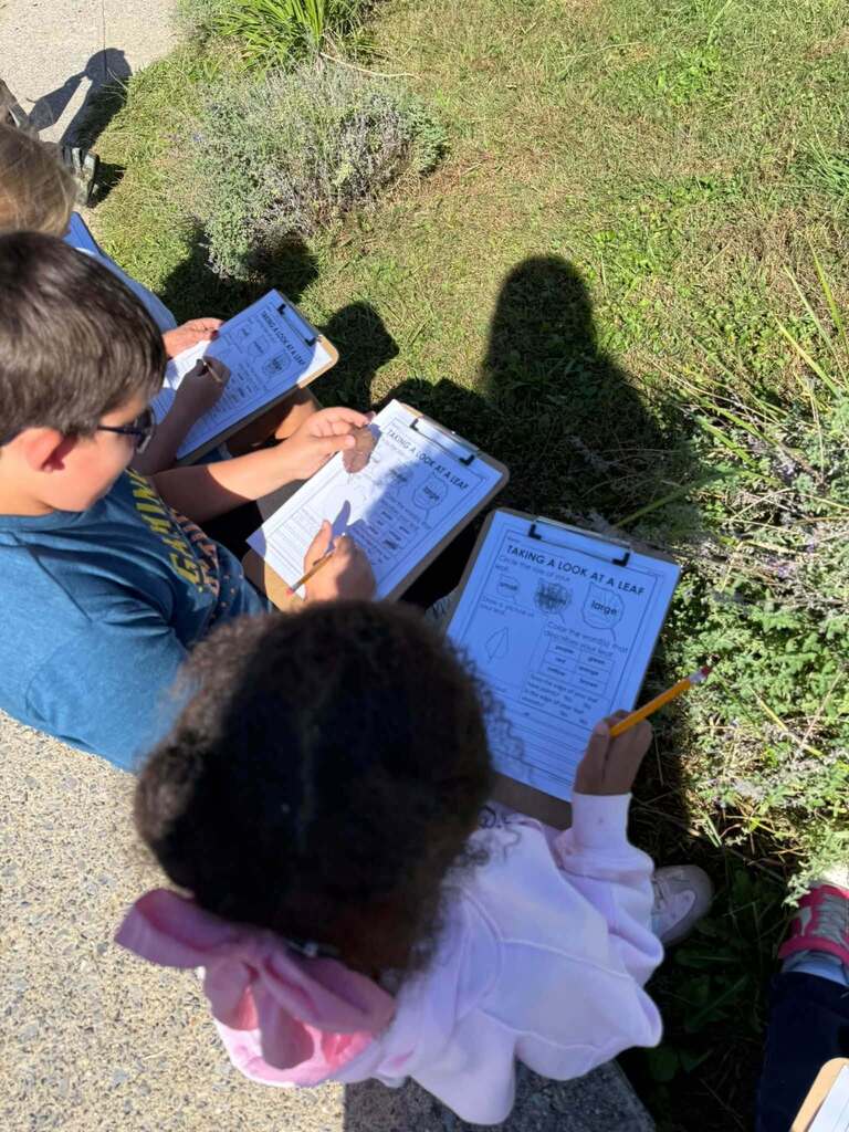 Students record their observastions on the front steps.