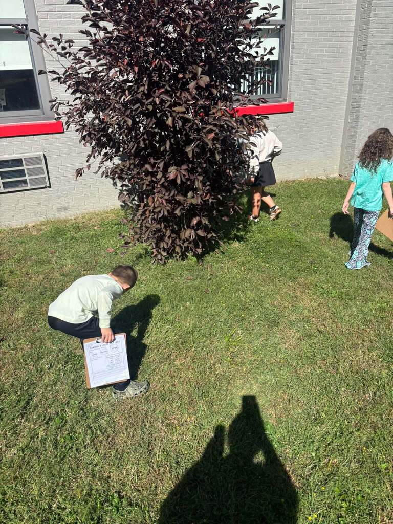 Students search for leaves on the school front lawn.