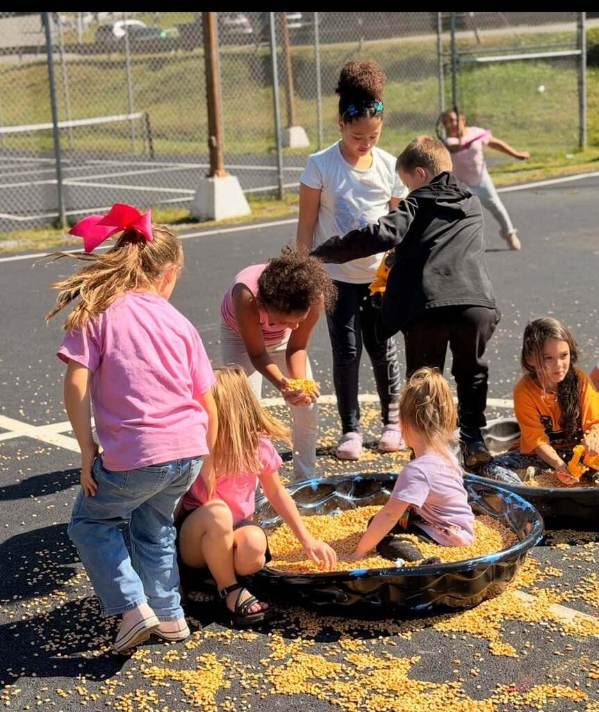 First Grade students playing in the corn tubs.