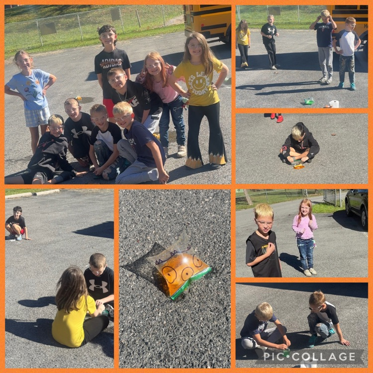 3rd grade science experiment