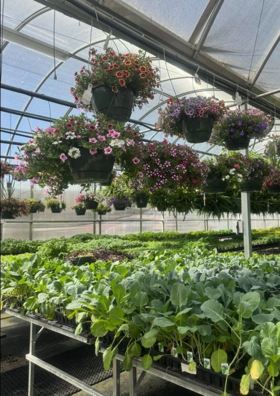RRHS Greenhouse