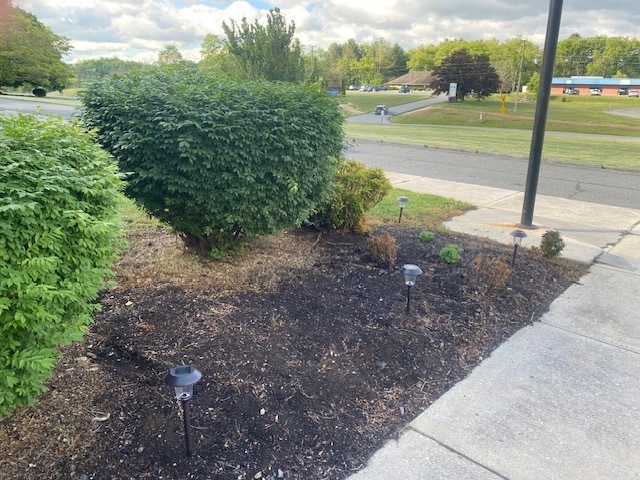 picture of landscaping with solar lights