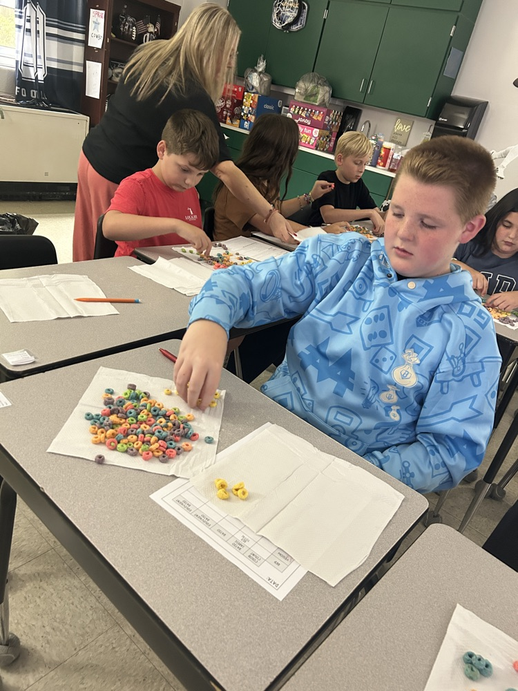 Fruit Loop Ratios