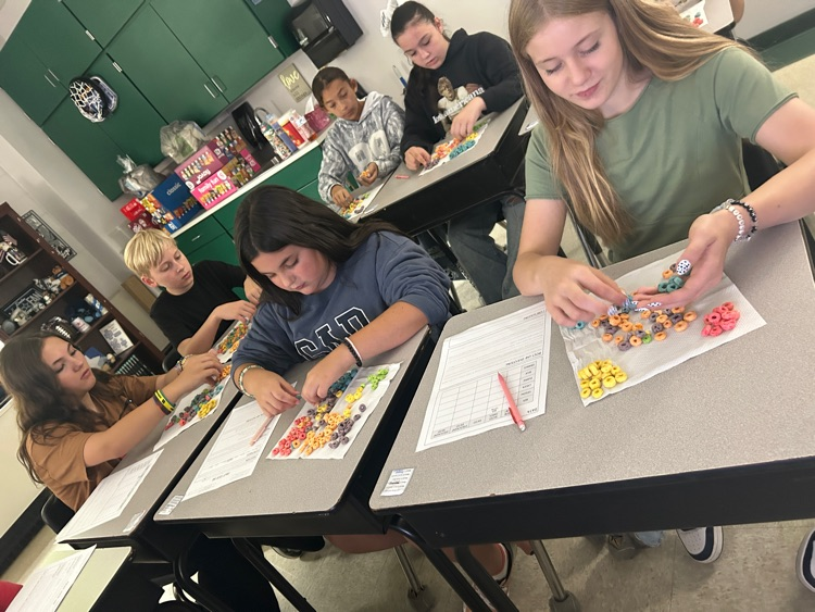 Fruit Loop Ratios
