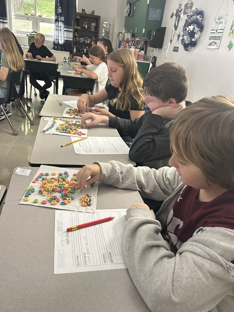 Fruit Loop Ratios