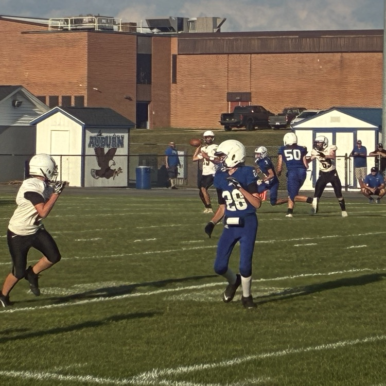 The quarterback throws the ball to an open receiver.